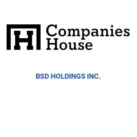 OKBET HOLDINGS INC. detailed incorporation information.